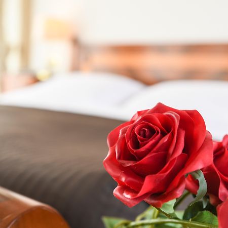 Hotel Vittoria Brescia Esterno foto A red rose