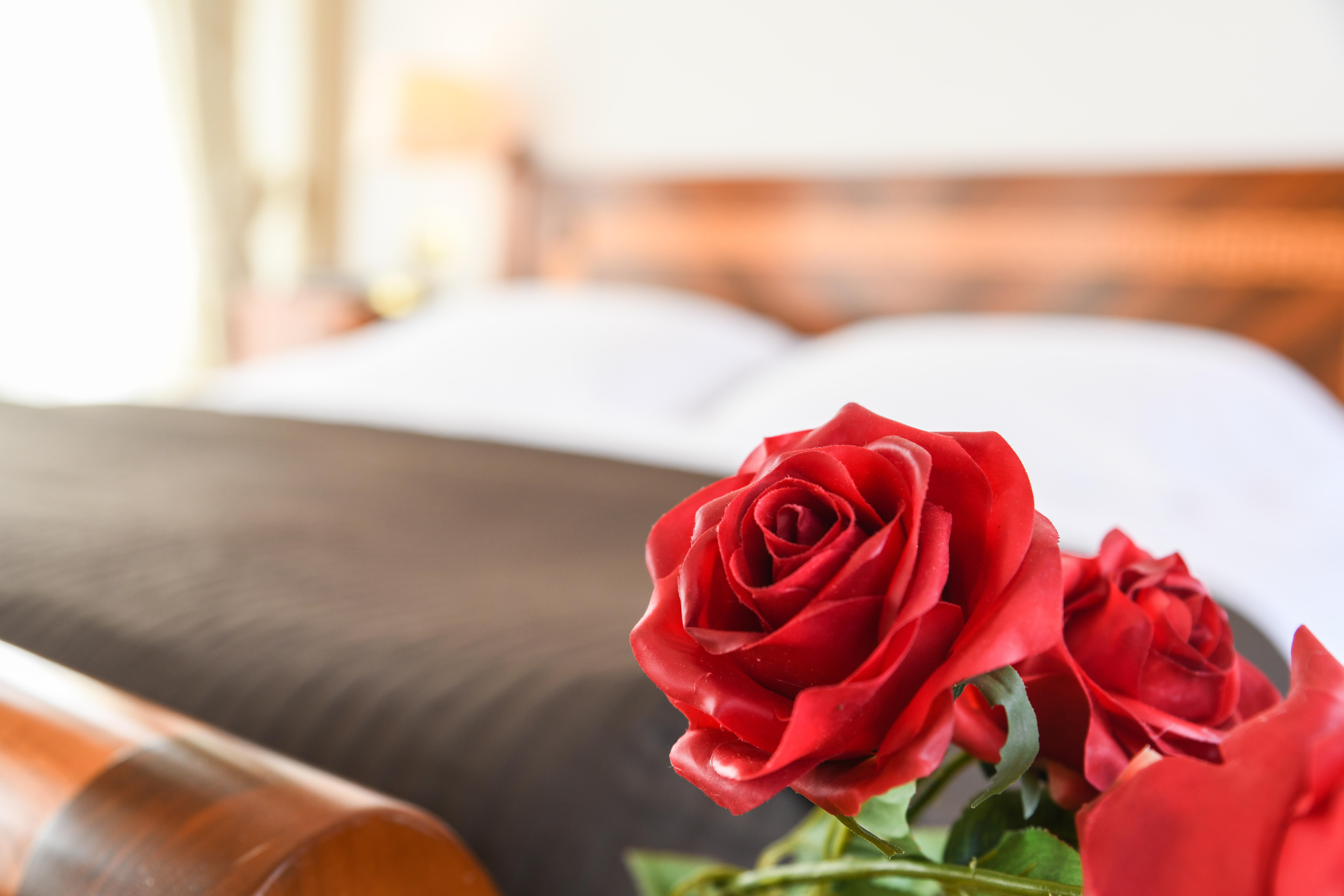 Hotel Vittoria Brescia Esterno foto A red rose